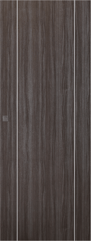PALLADIO 2U GRAY OAK MAGIC BELLDINNI MODERN INTERIOR DOOR