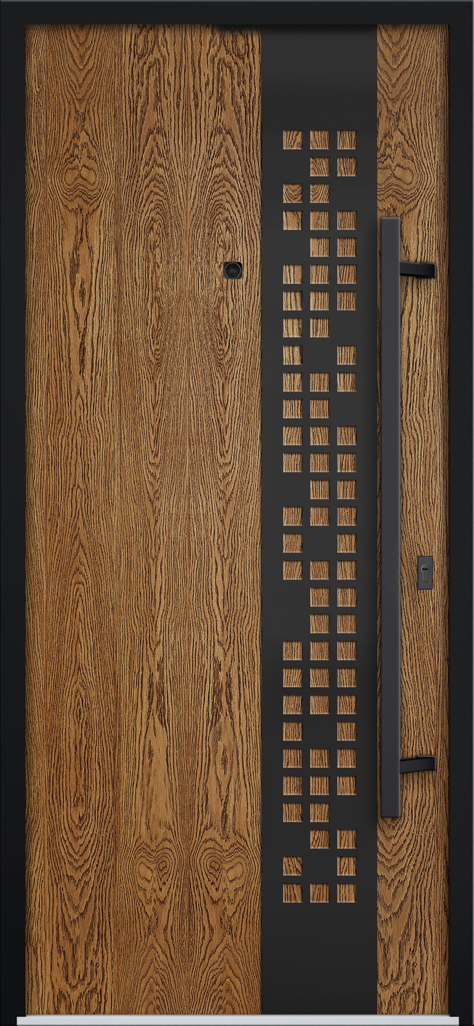 Single Modern Steel Exterior Door Deux 6678
