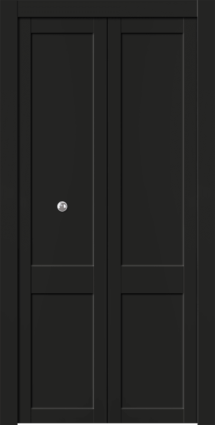 SHAKER 2 PANEL BLACK MATTE DOUBLE BI-FOLD BELLDINNI MODERN INTERIOR DOOR