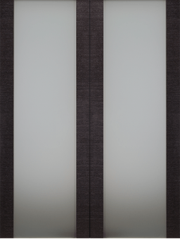 AVANTI 202 VETRO BLACK APRICOT DOUBLE BARN BELLDINNI MODERN INTERIOR DOOR - 2