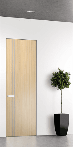 OPTIMA 2V LOIRE ASH DOUBLE INVISIBLE METAL FRAME BELLDINNI MODERN INTERIOR DOOR - 1