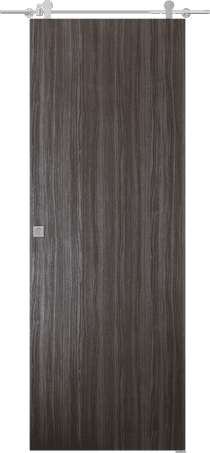 PALLADIO GRAY OAK DOUBLE BARN DOORS BELLDINNI MODERN INTERIOR DOOR - 2