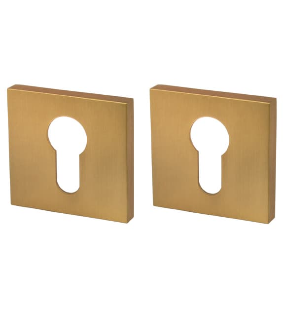 DOOR COVER PLATE KEYED GOLD